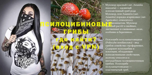 марки nbome Кодинск