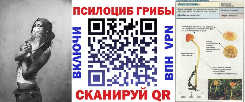 Галлюциногенные грибы GOLDEN TEACHER  купить наркоту  Тында 